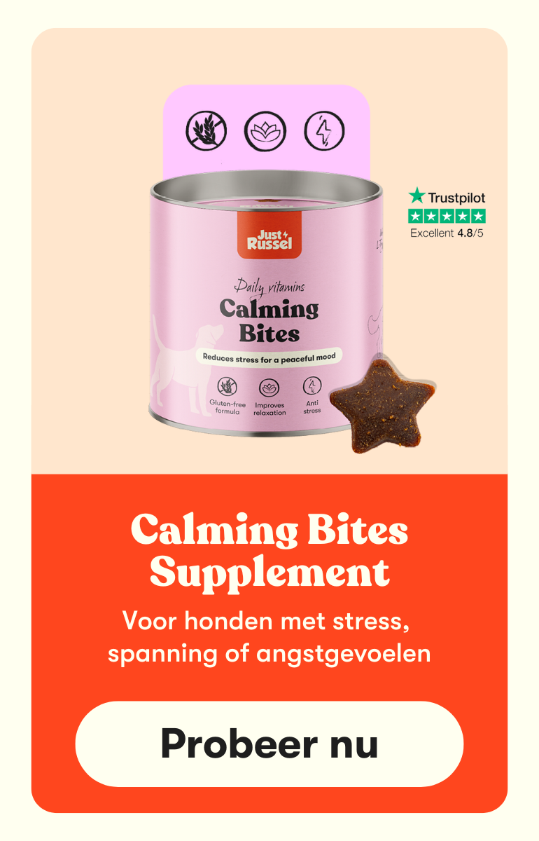 Calming Bites supplement Just Russel