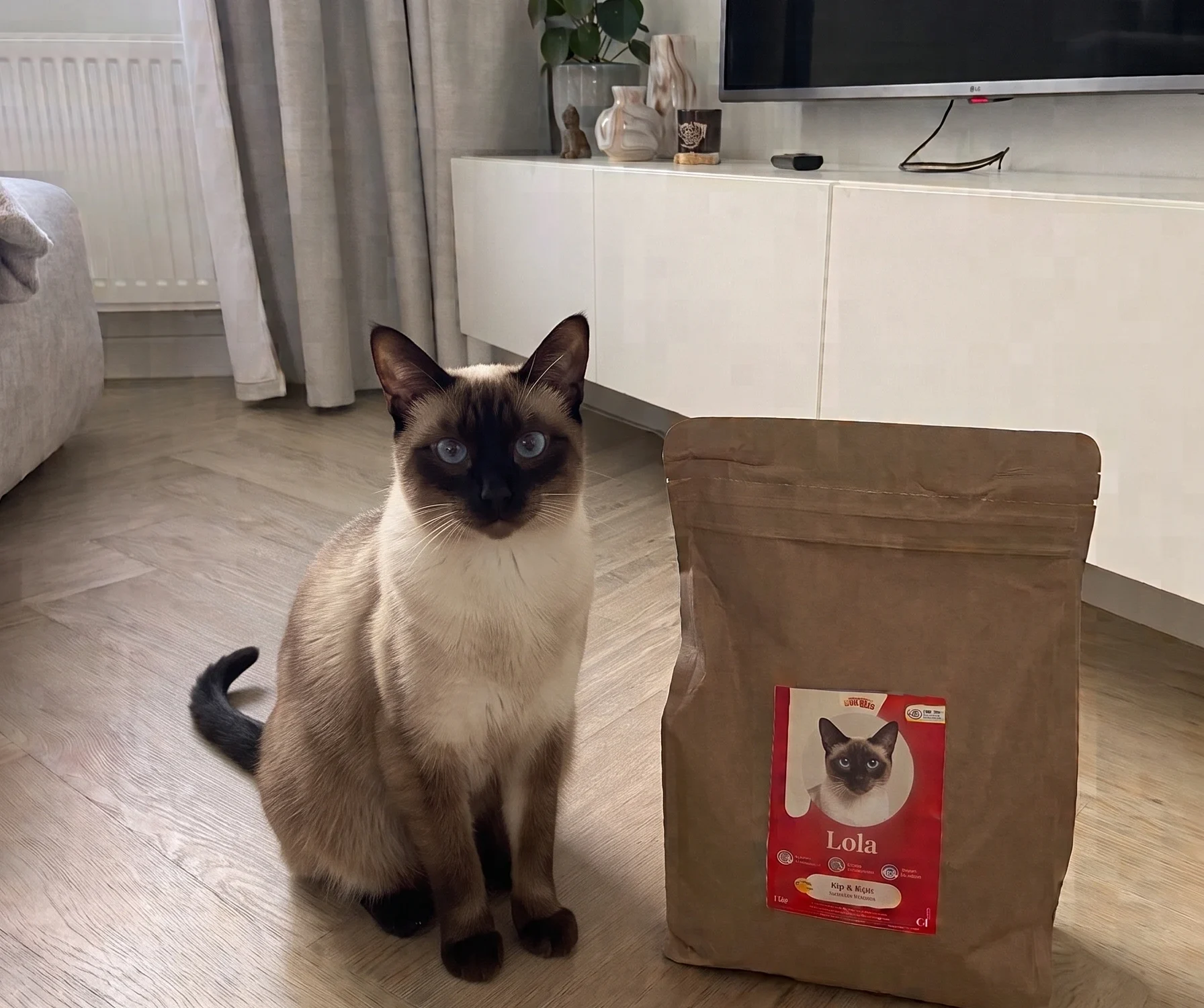 Siemese kat voeding