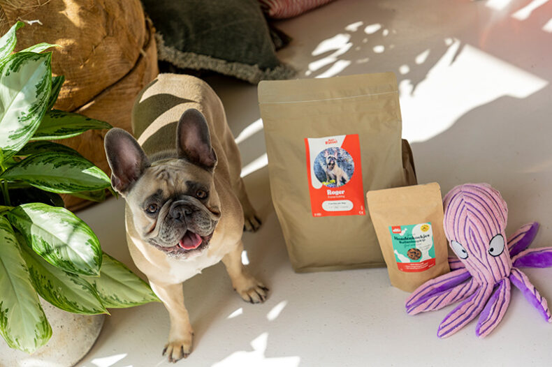 review Franse Bulldog