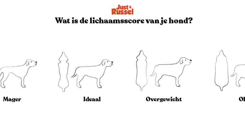 franse bulldog met overgewicht|hondenvoeding in eetbak gieten met maatbeker|schema lichaamsscore hond